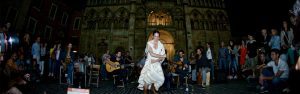 Band buchen Berlin – Band Flamazu