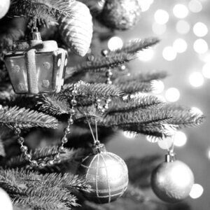 Musiker für Weihnachtsfeier buchen